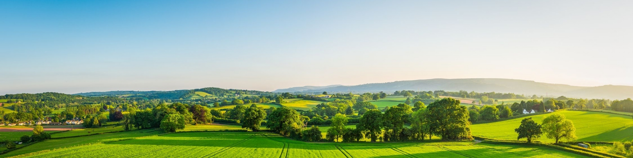 Buying or Selling Land
