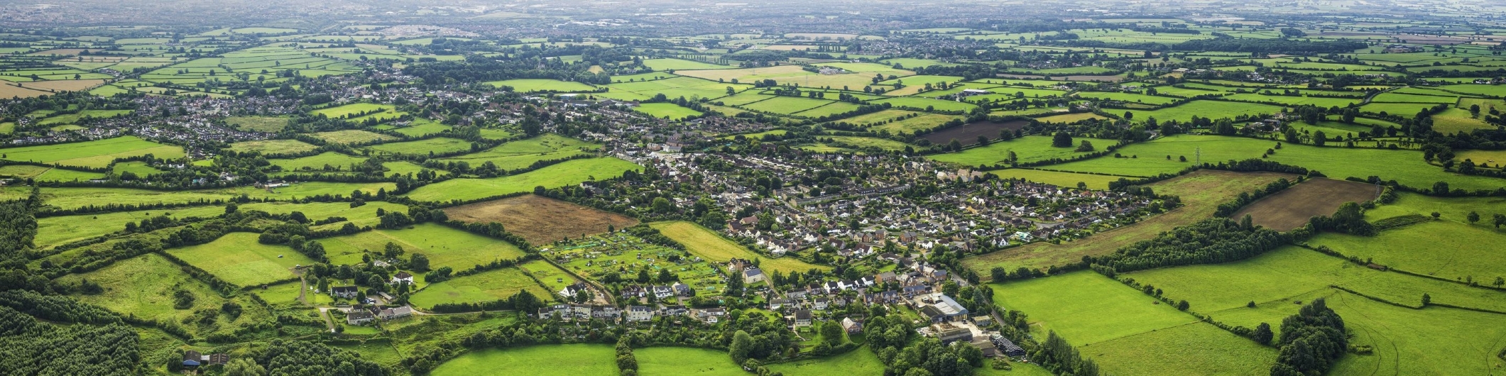 Land Services Land Services